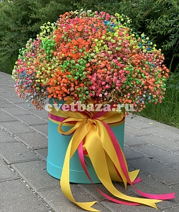 Композиция (Шляпная коробка) №5