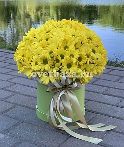 Композиция (Шляпная коробка) №7