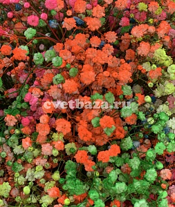 Композиция (Шляпная коробка) №5