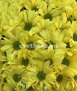 Композиция (Шляпная коробка) №7